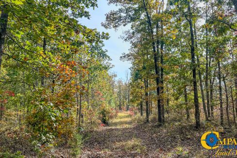 Terrell Branch Tennessee Land for Sale-35