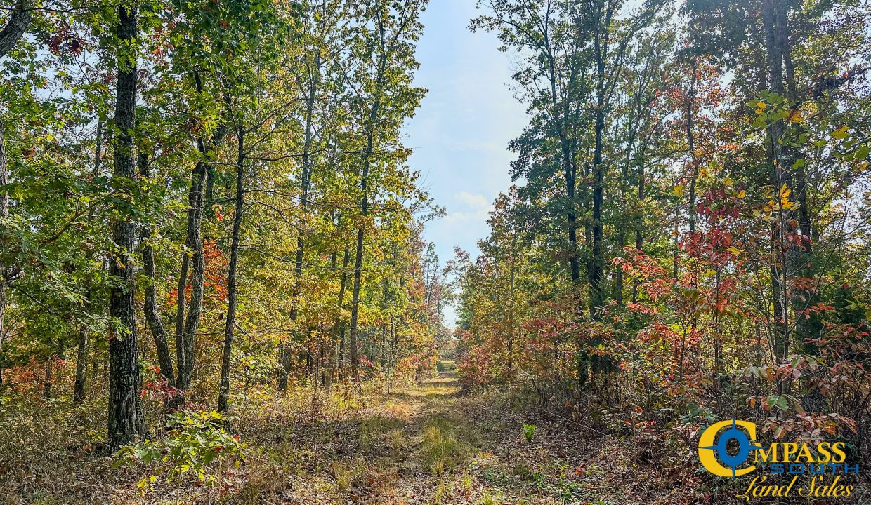 Terrell Branch Tennessee Land for Sale-37