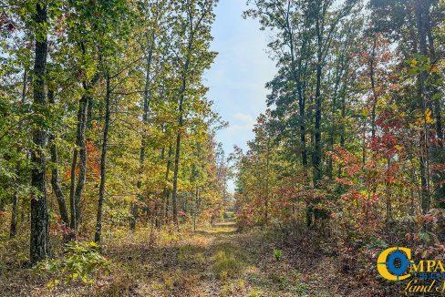 Terrell Branch Tennessee Land for Sale-37