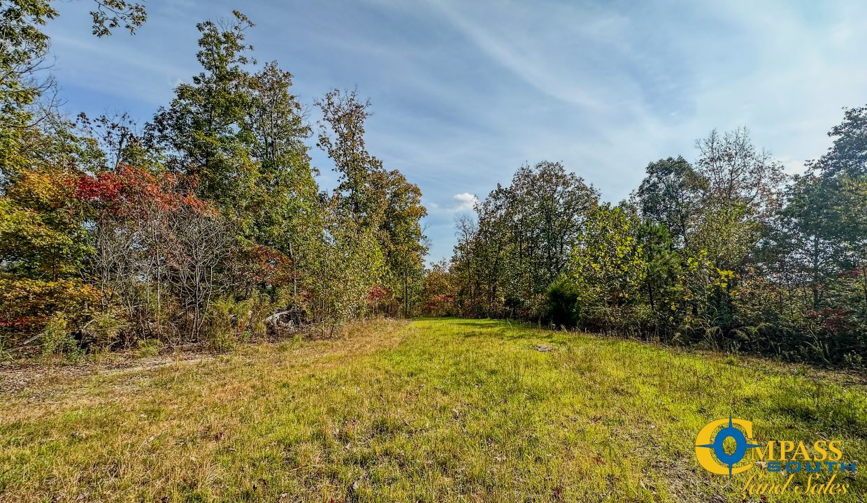 Terrell Branch Tennessee Land for Sale-39