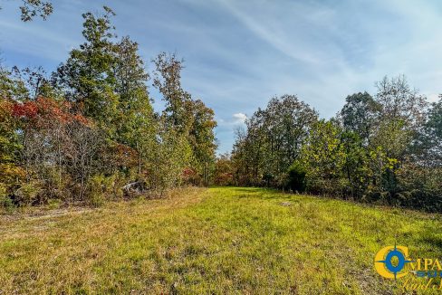 Terrell Branch Tennessee Land for Sale-39