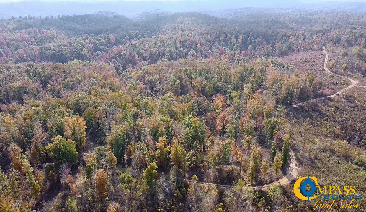 Terrell Branch Tennessee Land for Sale-43