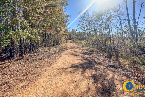 Timber Twist Ridge Tennessee-36