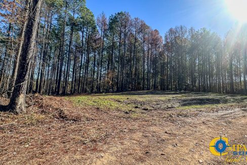 Timber Twist Ridge Tennessee-37