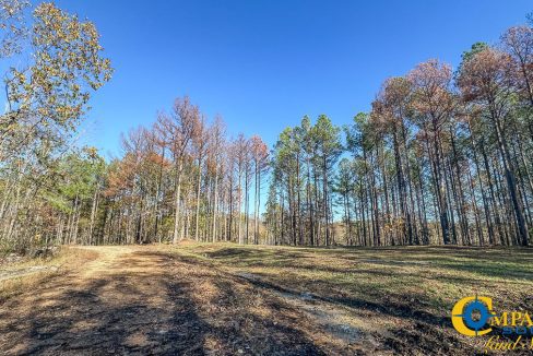 Timber Twist Ridge Tennessee-38