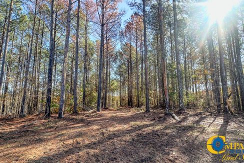 Timber Twist Ridge Tennessee-40