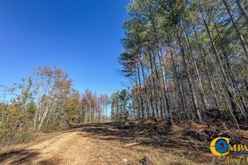 Timber Twist Ridge Tennessee-46