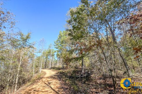 Timber Twist Ridge Tennessee-48