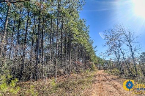 Timber Twist Ridge Tennessee-50