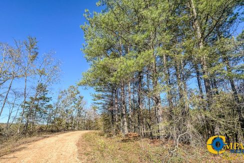 Timber Twist Ridge Tennessee-51