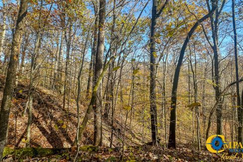 Timber Twist Ridge Tennessee-55