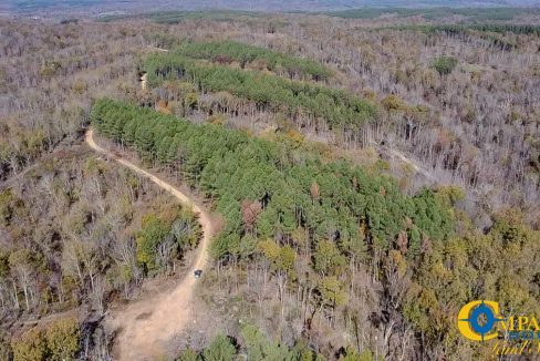 Timber Twist Ridge Tennessee-60