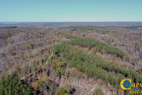 Timber Twist Ridge Tennessee-62