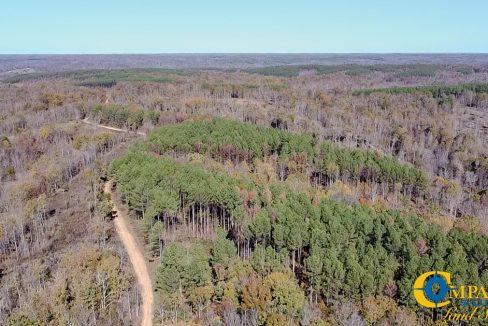 Timber Twist Ridge Tennessee-63