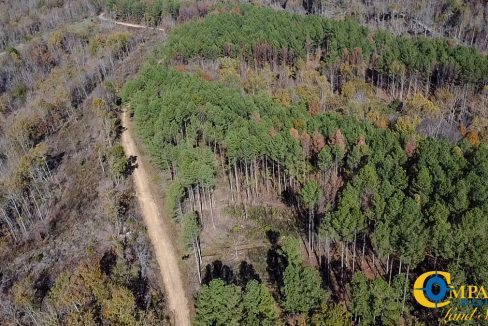 Timber Twist Ridge Tennessee-64