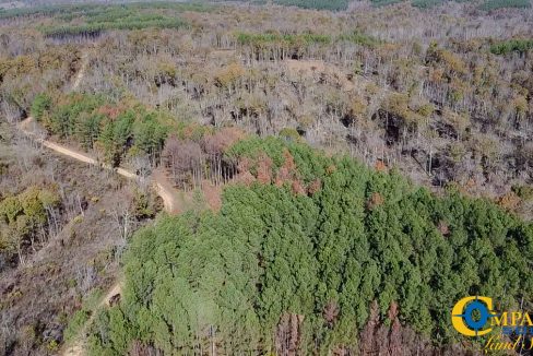 Timber Twist Ridge Tennessee-65