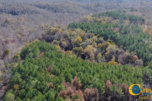 Timber Twist Ridge Tennessee-69