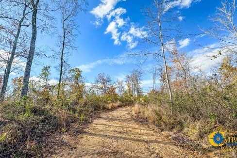 Lick Creek Retreat TN Land for Sale-03