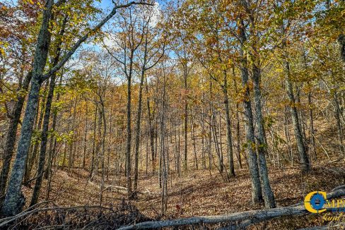 Lick Creek Retreat TN Land for Sale-09