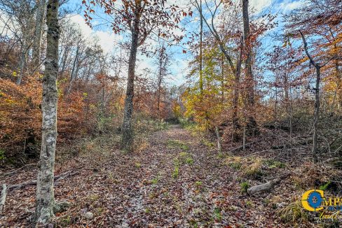 Lick Creek Retreat TN Land for Sale-13