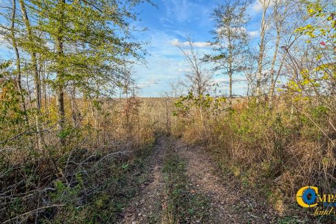 Lick Creek Retreat TN Land for Sale-17