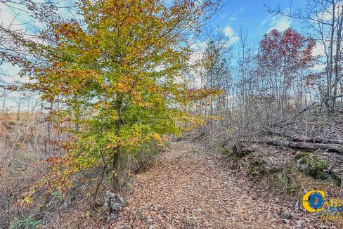 Lick Creek Retreat TN Land for Sale-21