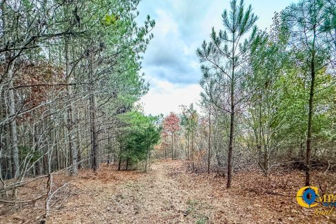 Lick Creek Retreat TN Land for Sale-27