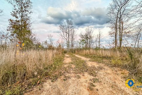 Lick Creek Retreat TN Land for Sale-31