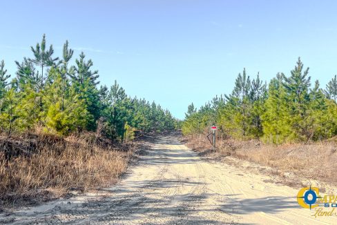 Bradley Trail North SC Land for Sale-10