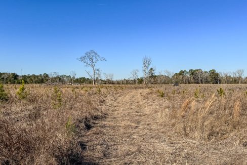 Bulloch Sands 1 Georgia Land for Sale-02