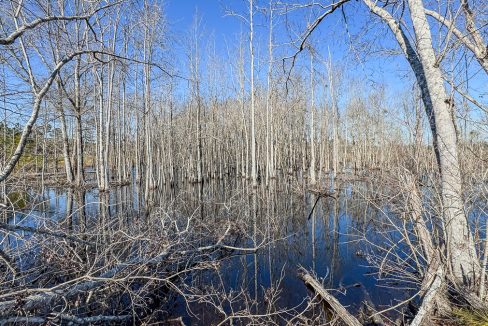 Bulloch Sands 1 Georgia Land for Sale-07