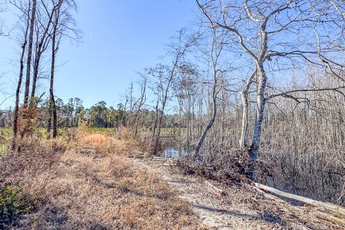 Bulloch Sands 1 Georgia Land for Sale-10