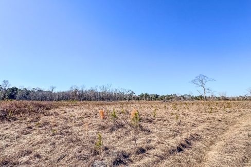 Bulloch Sands 1 Georgia Land for Sale-11