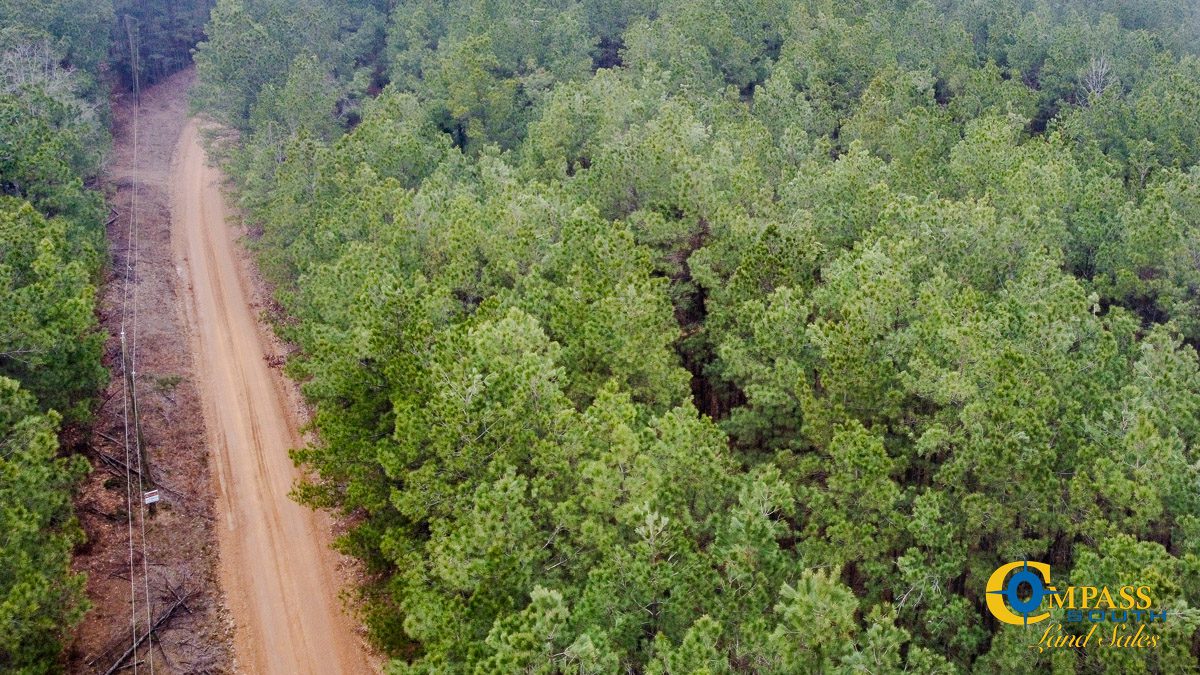 Dallas 170 Arkansas Land for Sale