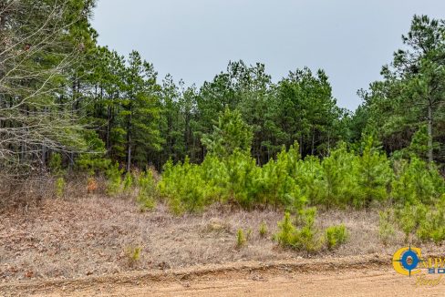 Dallas 170 Arkansas Land for Sale-51