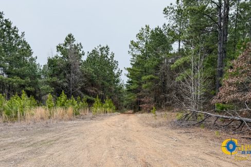 Dallas 170 Arkansas Land for Sale-52