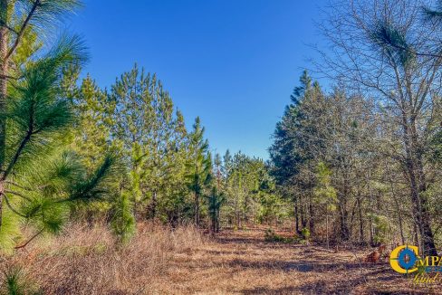 Longleaf Hill Land for Sale in SC-14