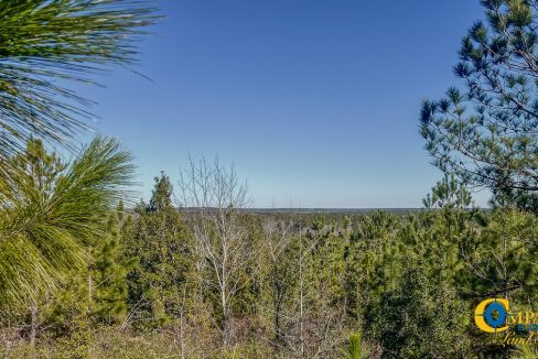 Longleaf Hill Land for Sale in SC-21