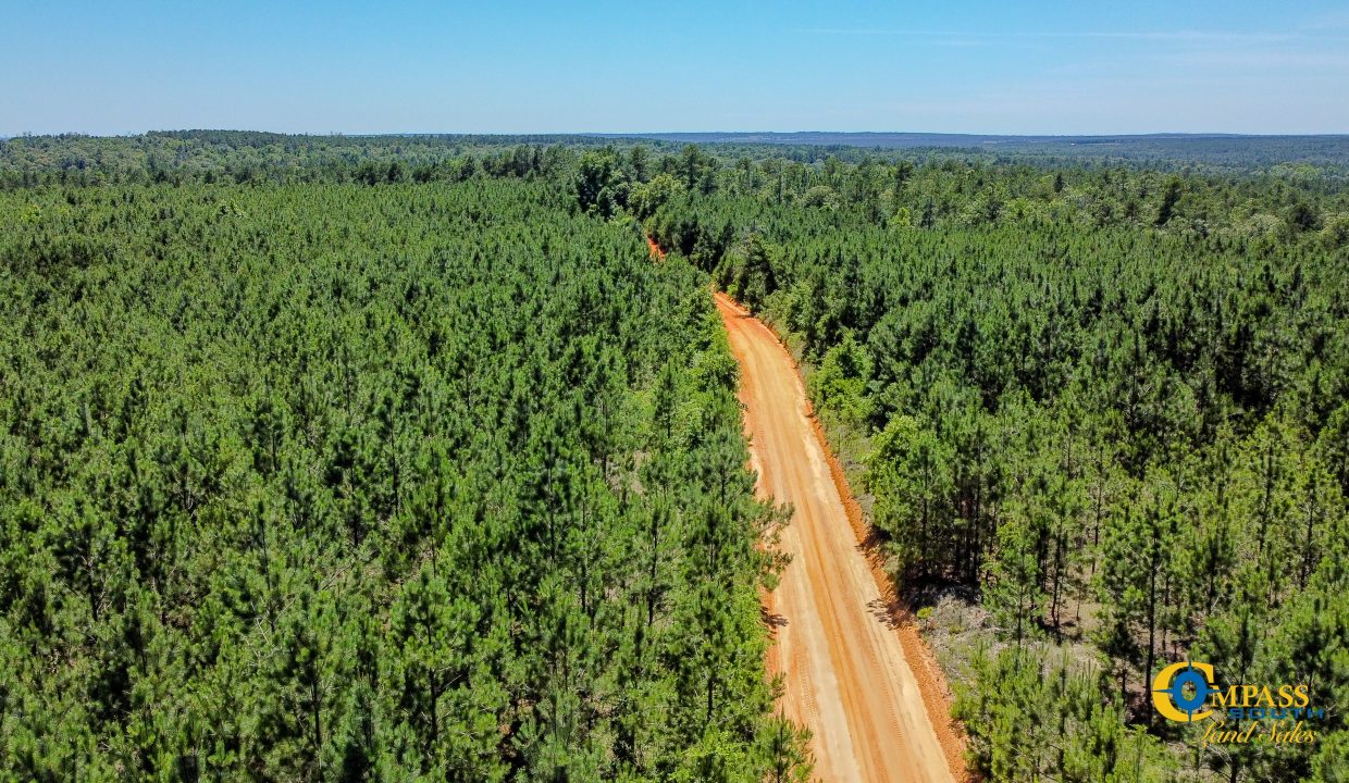 Pike Tract GA Land for Sale 3