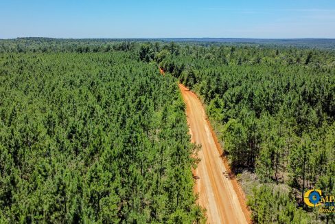 Pike Tract GA Land for Sale 3