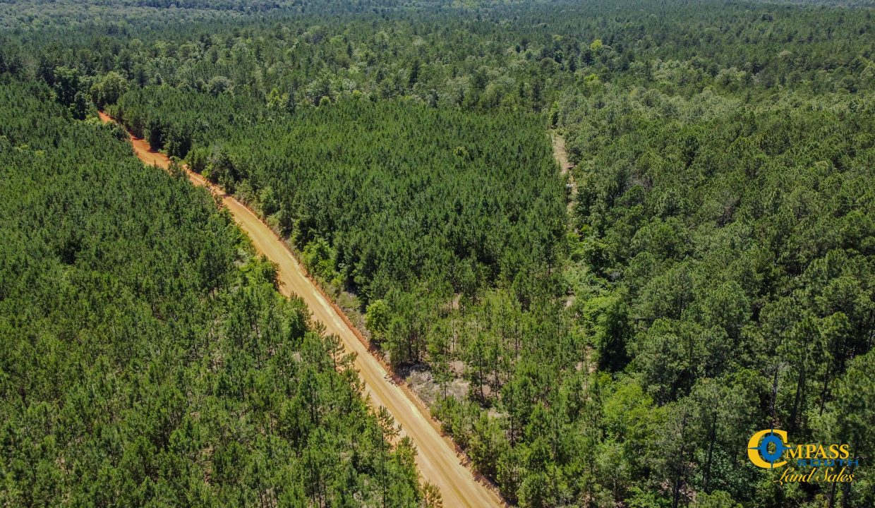 Pike Tract GA Land for Sale 2