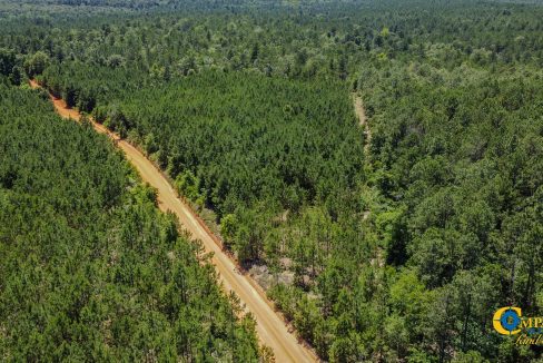 Pike Tract GA Land for Sale 2