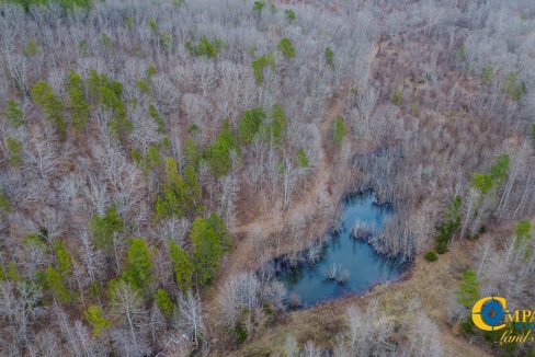 Spinks Tract Tennessee Land for Sale