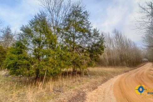 Spinks Tract Tennessee Land for Sale-14