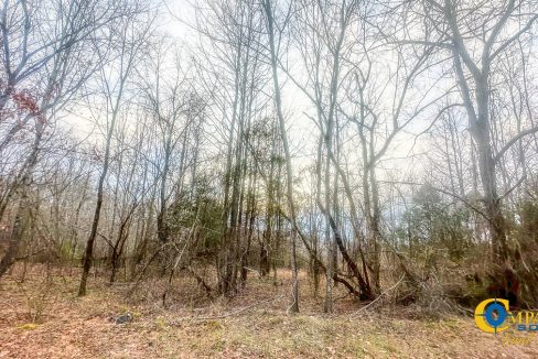 Spinks Tract Tennessee Land for Sale-17