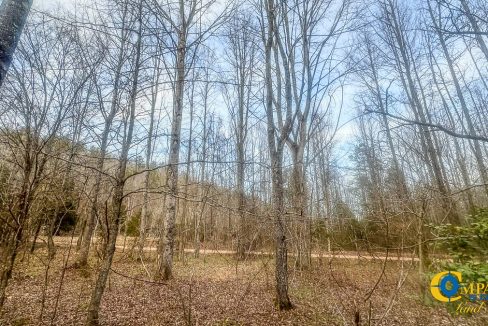 Spinks Tract Tennessee Land for Sale-22