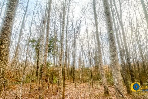 Spinks Tract Tennessee Land for Sale-26