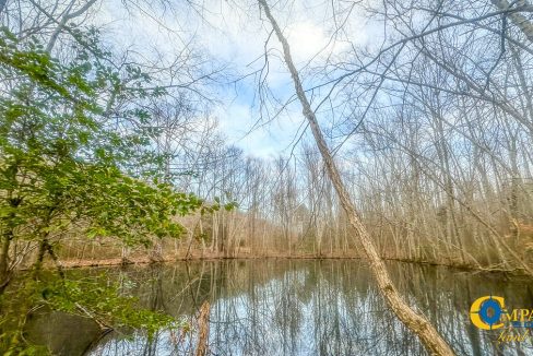 Spinks Tract Tennessee Land for Sale-27