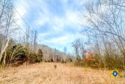 Spinks Tract Tennessee Land for Sale-31