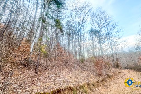 Spinks Tract Tennessee Land for Sale-36